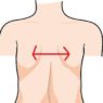 肩甲骨の図